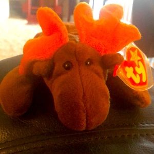 My name is Chocolate